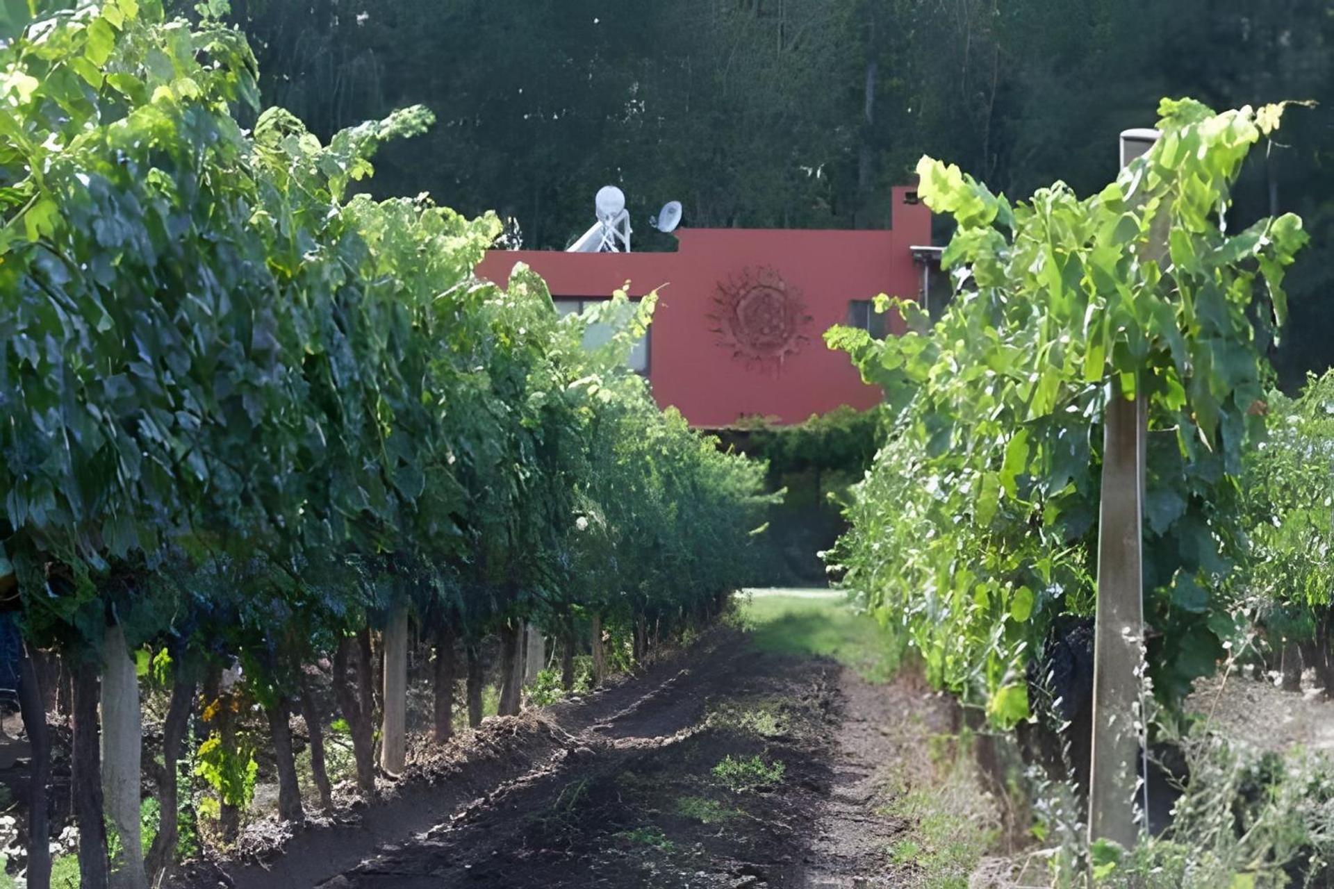 Finca Ogawa Los Sauces Kültér fotó